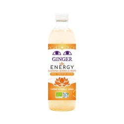 PIWO IMBIROWE ENERGY BEZALKOHOLOWE FAIR FOR LIFE BIO 350 ml - KARMA